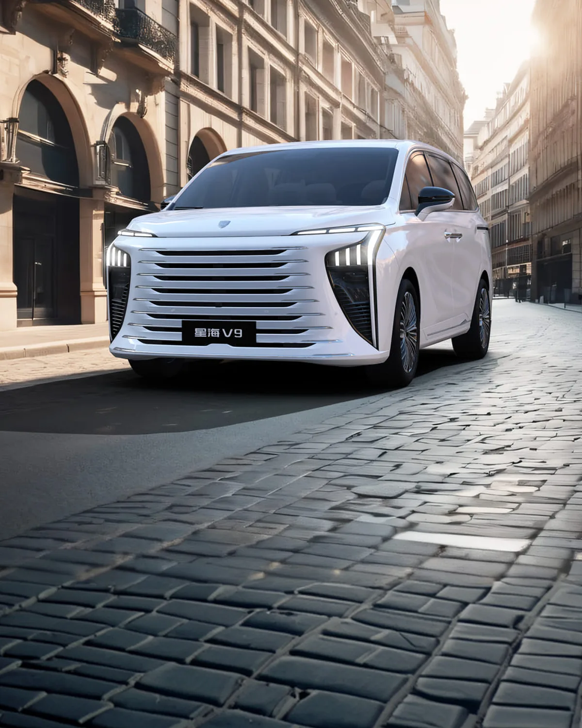 Kartica modela forthing v9 phev